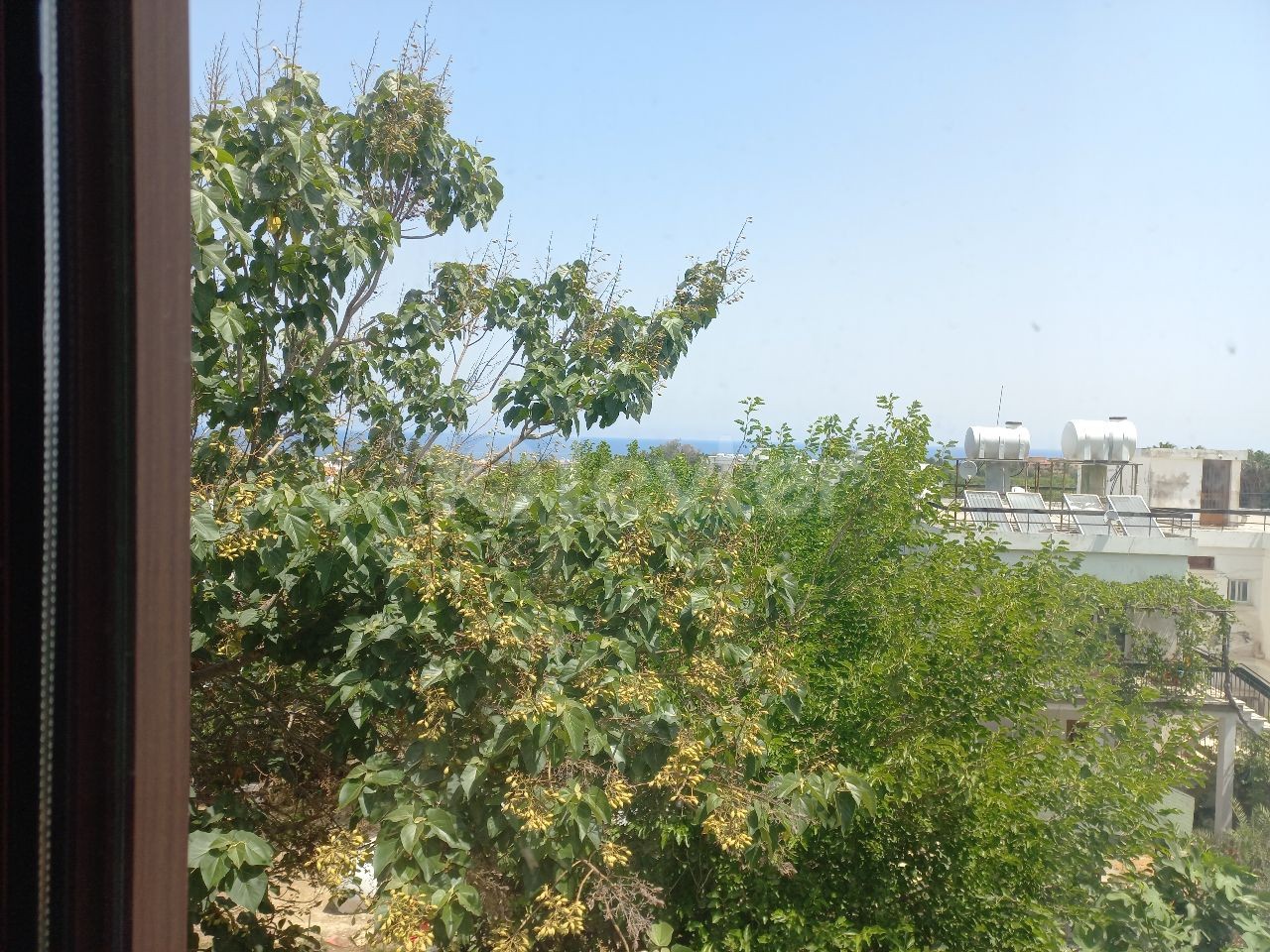 تخت برای اجاره in Lapta, گیرنه