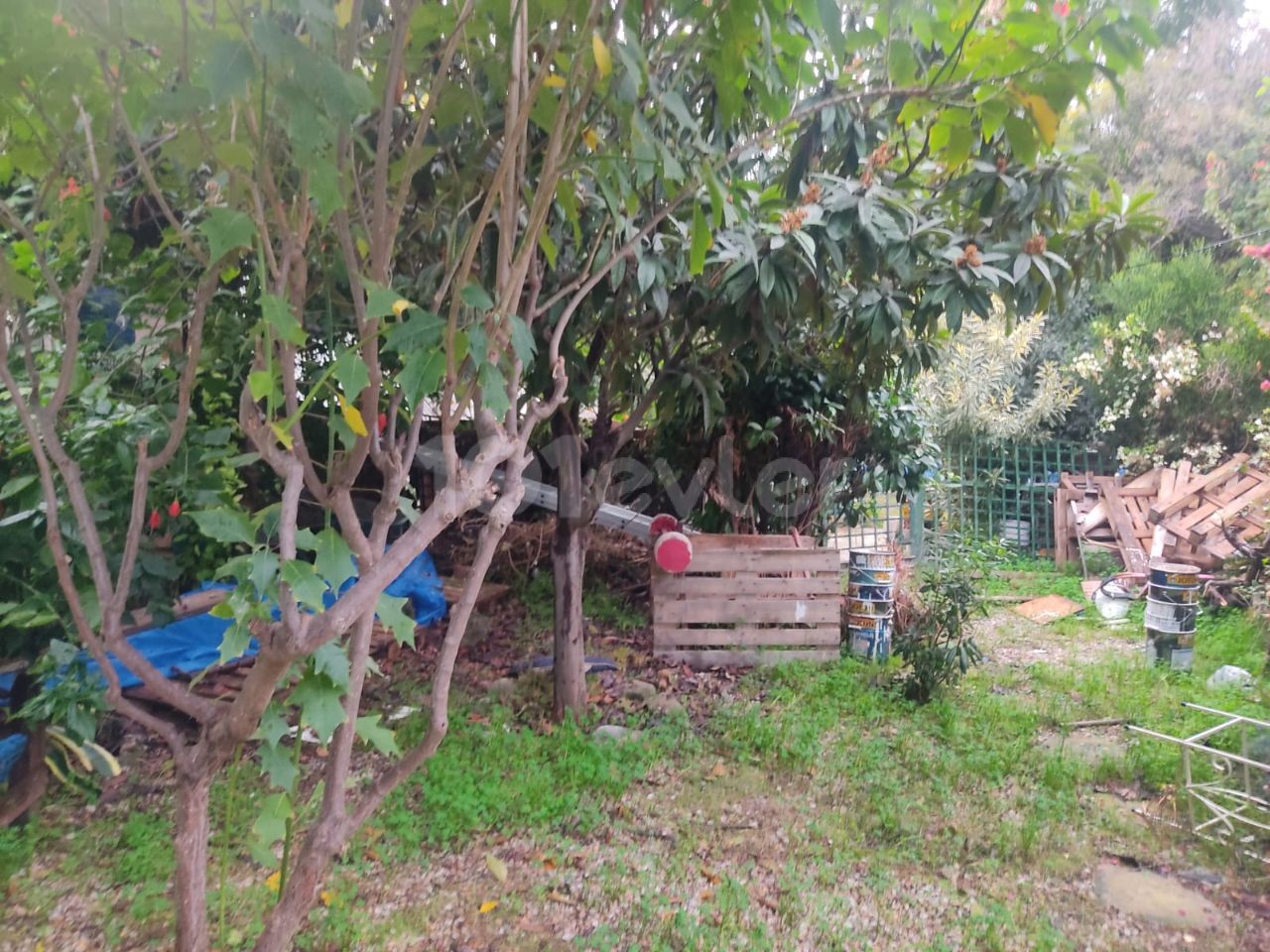 ویلا برای فروش در منطقه گیرنه - Karaoğlanoğlu با یک باغ بزرگ (در 2 هکتار زمین)
