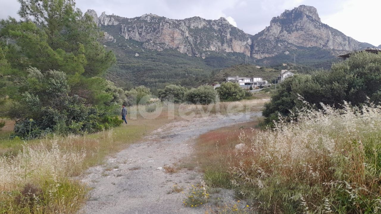 Turkish property, land for sale in Girne Zeytinlik, ready with everything!