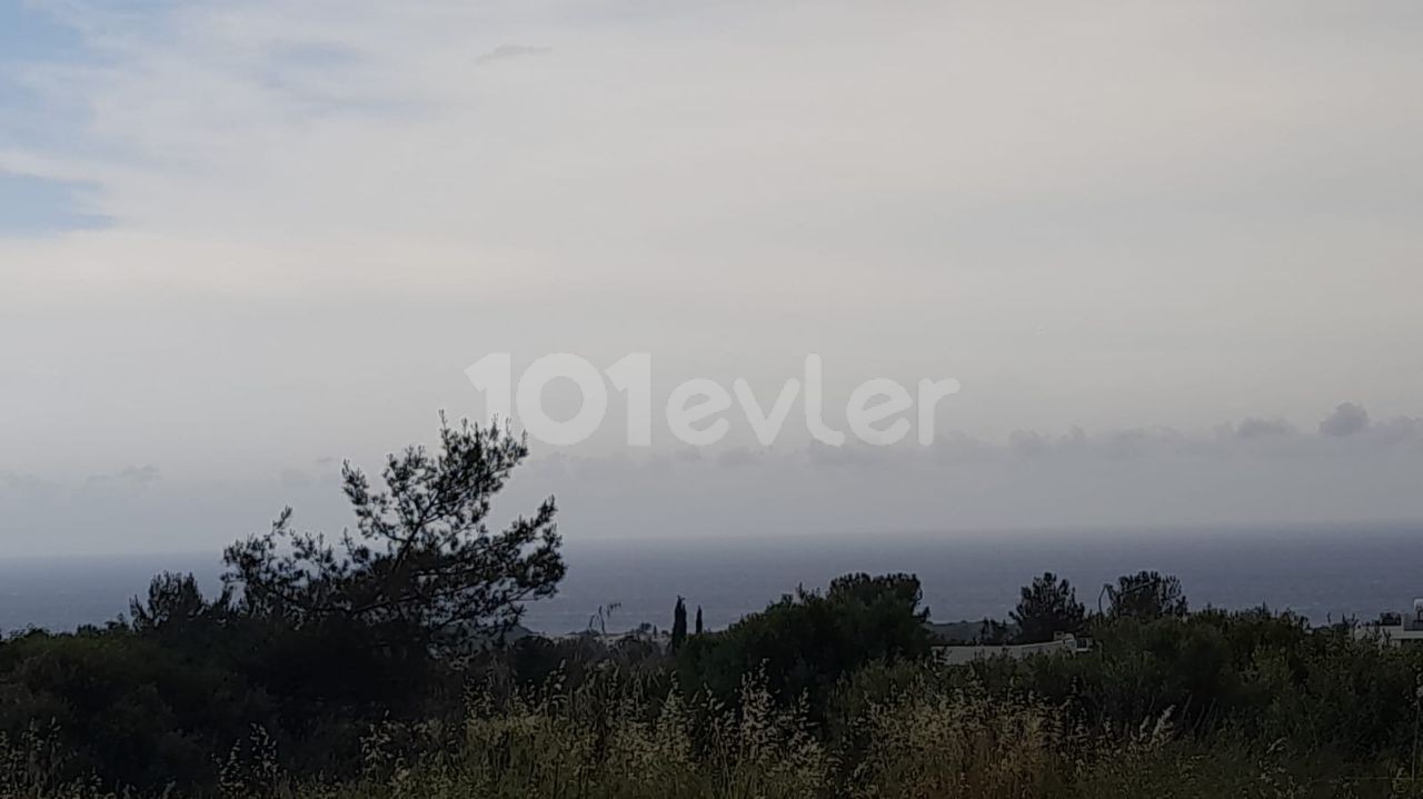 Turkish property, land for sale in Girne Zeytinlik, ready with everything!