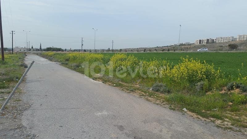 5 Donum Land for sale in Guzelyurt, Kalkanlı