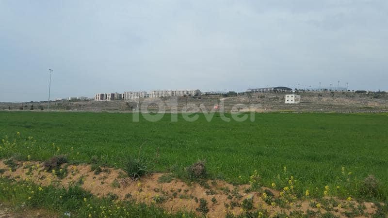 5 Donum Land for sale in Guzelyurt, Kalkanlı