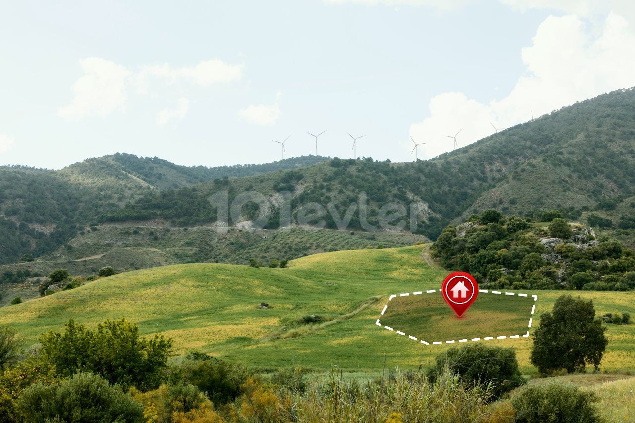 Türkeli'nde Satılık Arsa