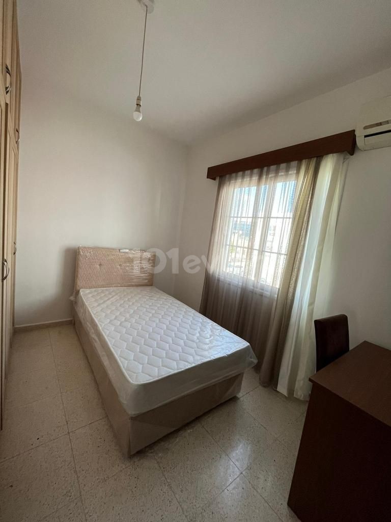 3+1 flat for rent