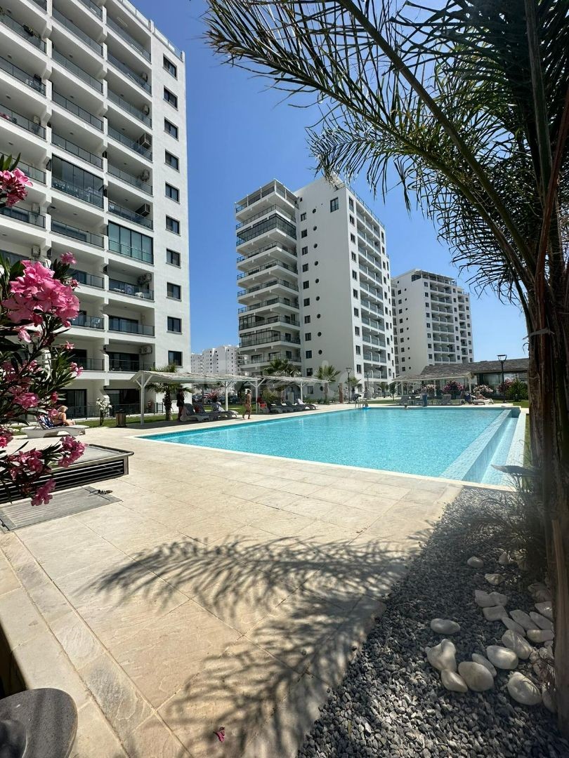 Fully Furnished Studio for Rent at Cesar Resort