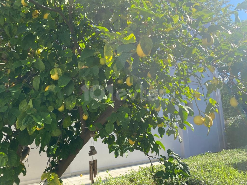 Girne Alsancak Milos Parkta 2+1 Kiralık Daire 