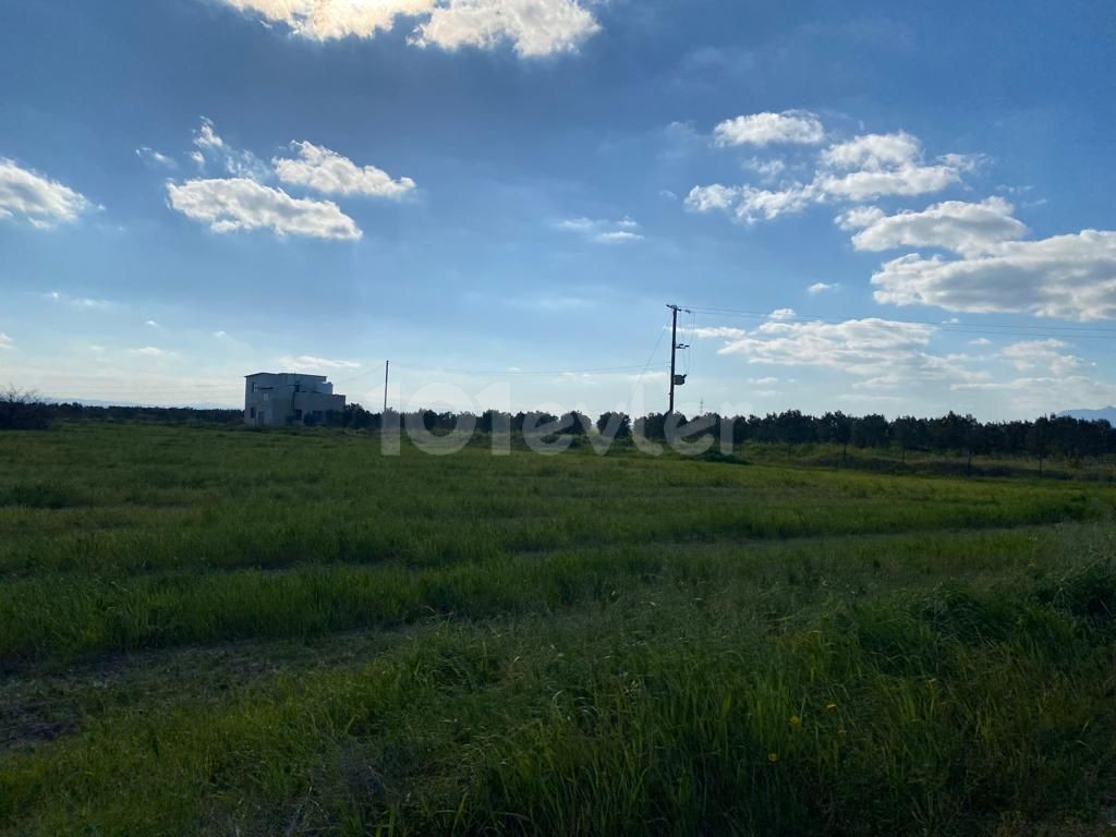 ZU VERKAUFEN - BAUERNHAUS 8 DONUM LAND UND 200+ BÄUME MIT KAUFMÖGLICHKEIT