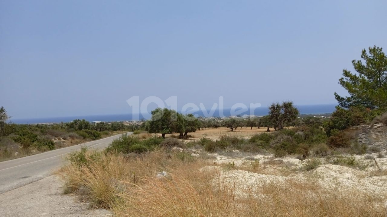 YATIRIM - yol uzeri FIRSAT ALIM-DAG DENIZ MANZARALI