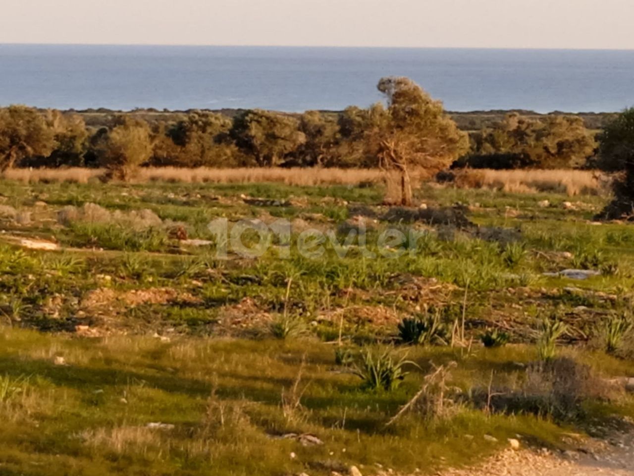 YATIRIM - yol uzeri FIRSAT ALIM-DAG DENIZ MANZARALI