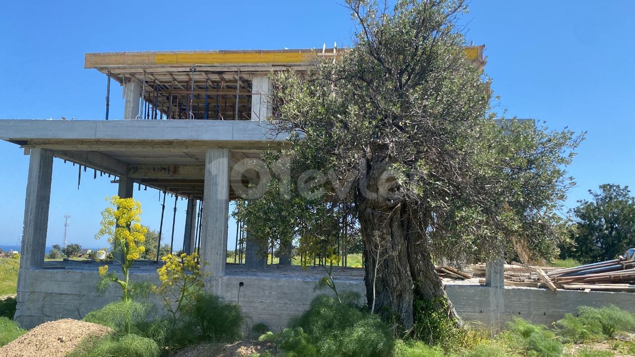 Villa For Sale in Tatlısu, Famagusta