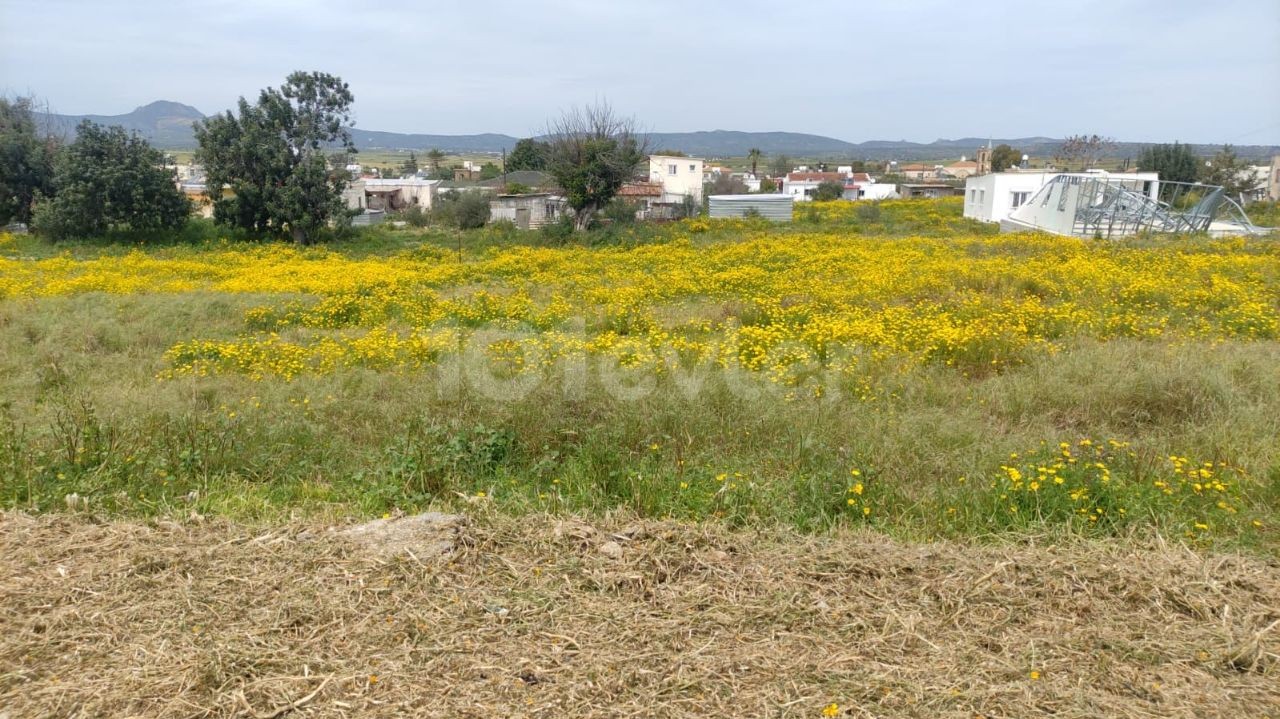 منطقه مسکونی برای فروش in Çayırova, ایسکله