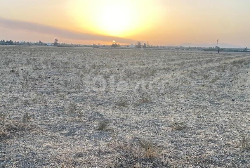 INVESTMENT OPPORTUNITY FOR LAND, PREMIUM BUYING OPPORTUNITY, SERDARLI