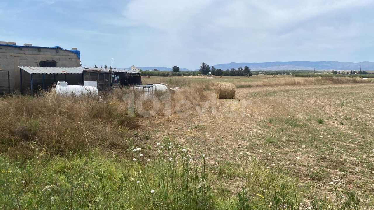 LAND INVESTMENT OPPORTUNITY, SUITABLE FOR HOUSING CONSTRUCTION, KUZUCUK OTUKEN