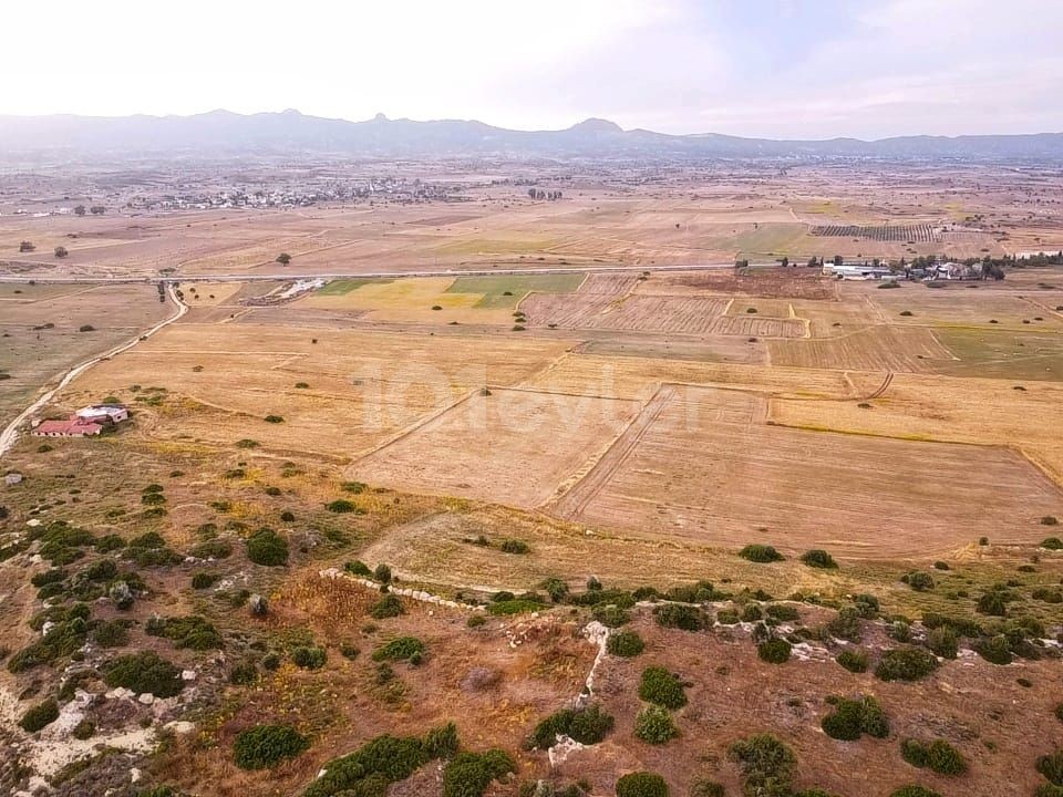 فرصت سرمایه گذاری در زمین، خرید فرصت افزایش در مدت زمان کوتاه، نزدیک به جاده اصلی