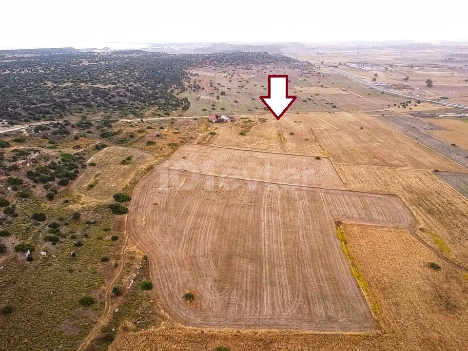 OPPORTUNITY TO INVEST IN LAND, PURCHASE OPPORTUNITY TO BOOST IN A SHORT TIME, CLOSE TO THE MAIN ROAD