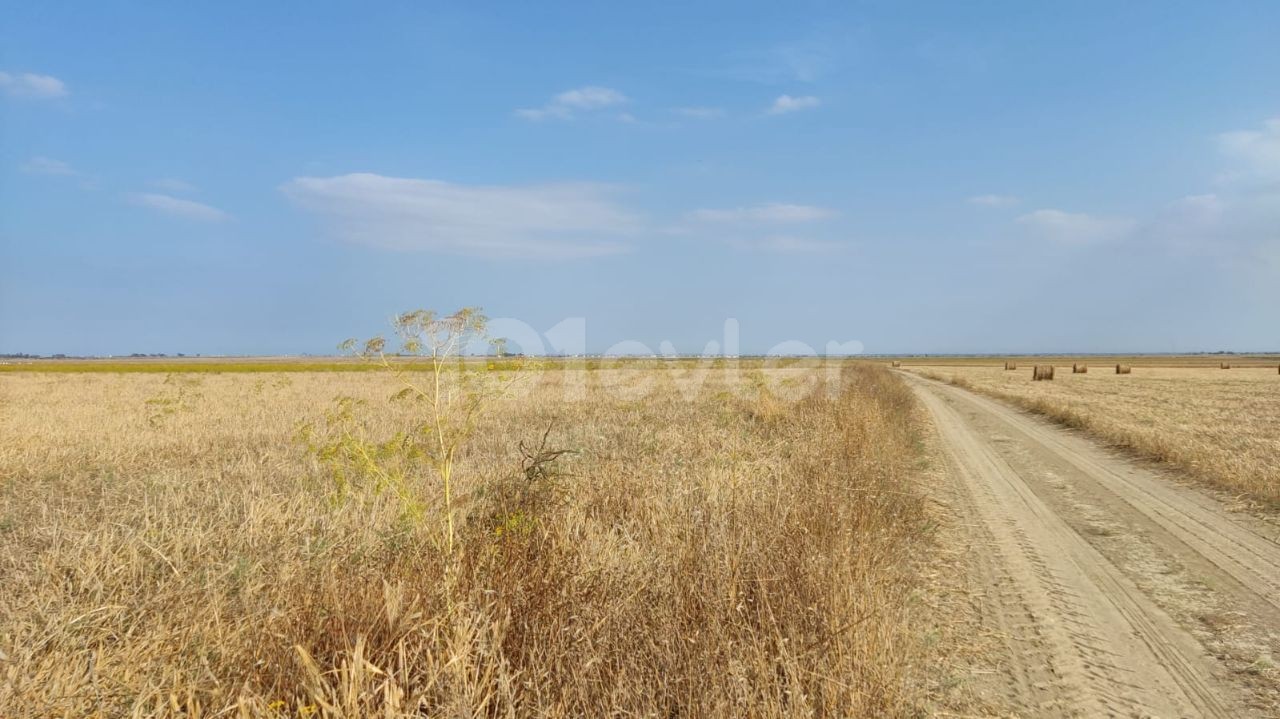 OPPORTUNITY TO INVEST IN LAND, PURCHASE OPPORTUNITY TO BOOST IN A SHORT TIME, CLOSE TO THE MAIN ROAD