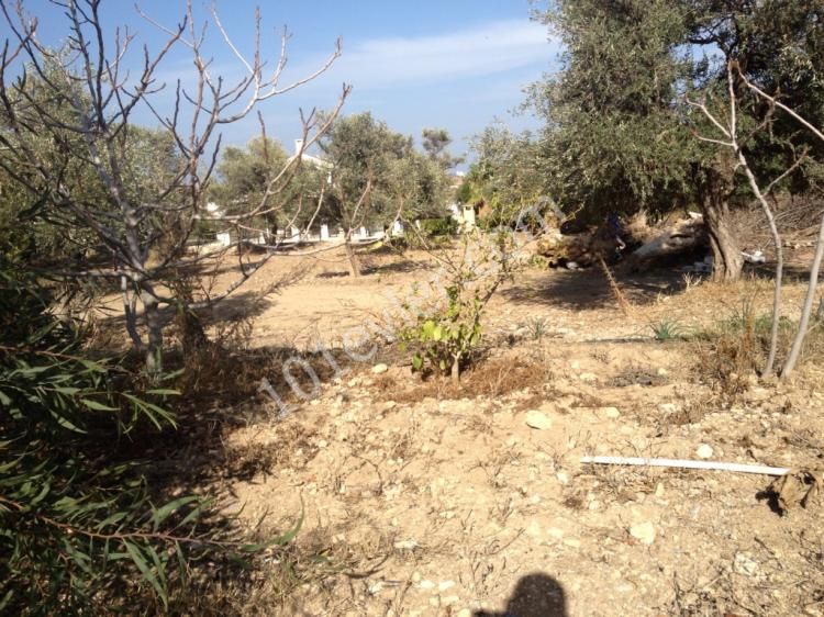 Original Turkish title land for sale in ozankoy Kyrenia North Cyprus