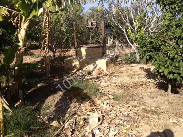 Original Turkish title land for sale in ozankoy Kyrenia North Cyprus