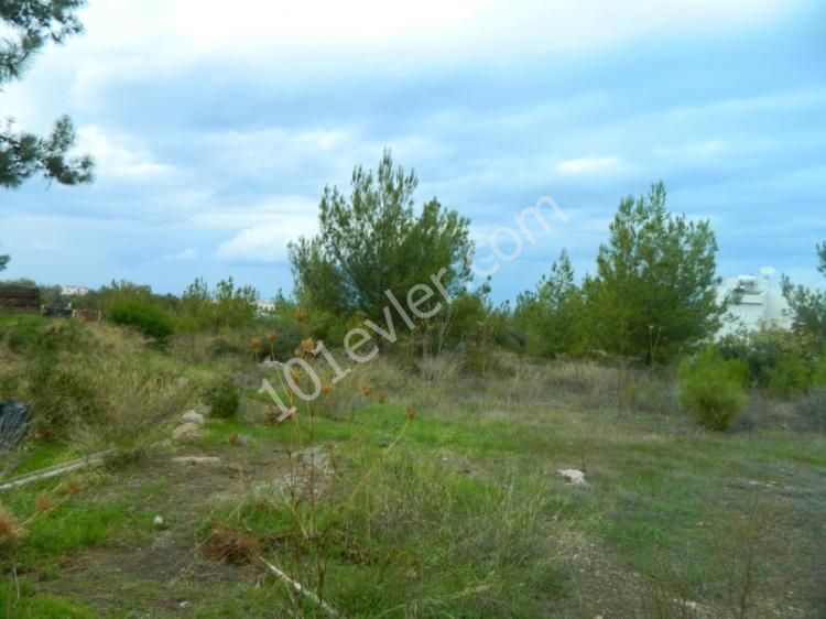 Land for sale in çatalköy 