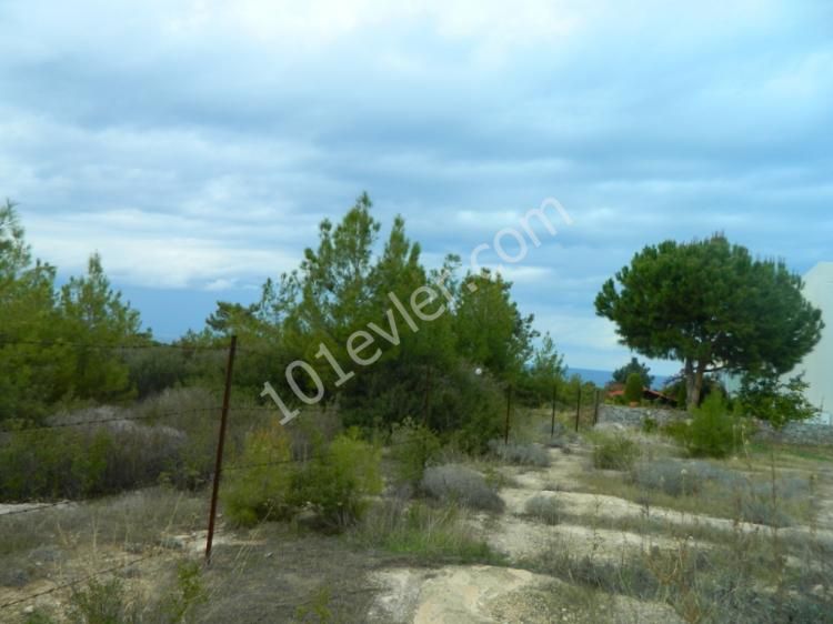 Land for sale in çatalköy 