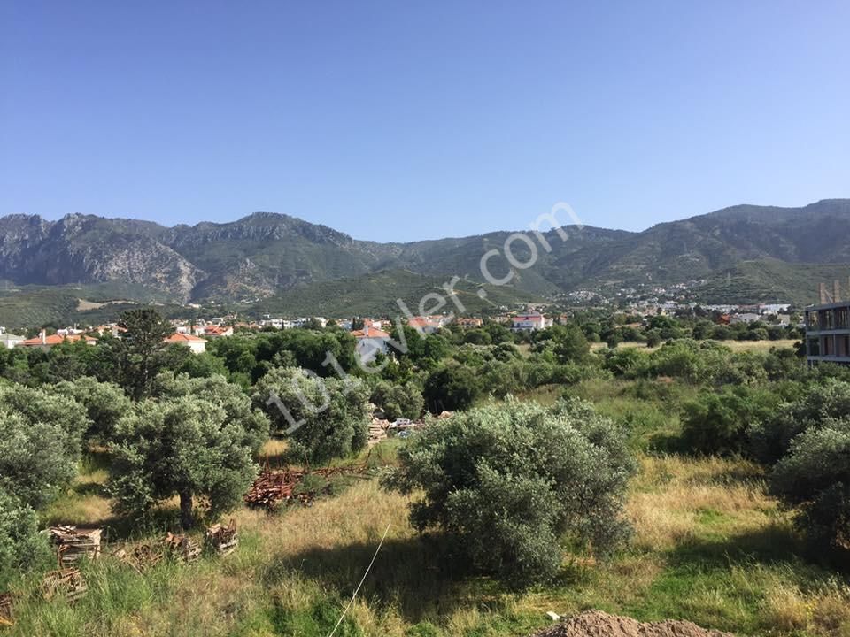 Flat To Rent in Alsancak, Kyrenia