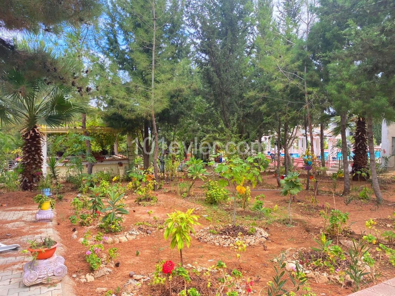 Semi Detached To Rent in Çatalköy, Kyrenia