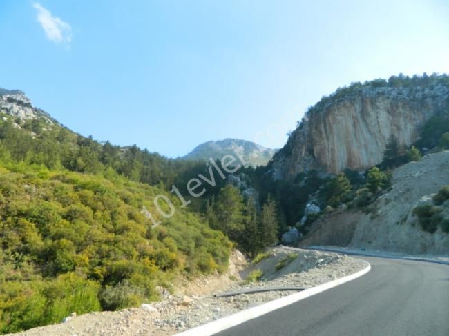 orijinal turkish  title deed forsale in catalkoy in northcyprus