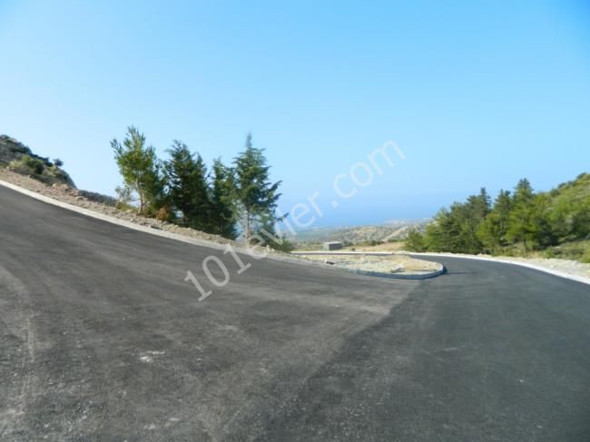 orijinal turkish  title deed forsale in catalkoy in northcyprus