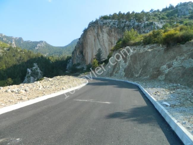 orijinal turkish  title deed forsale in catalkoy in northcyprus
