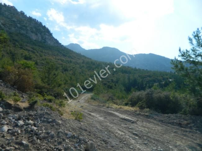 orijinal turkish  title deed forsale in catalkoy in northcyprus