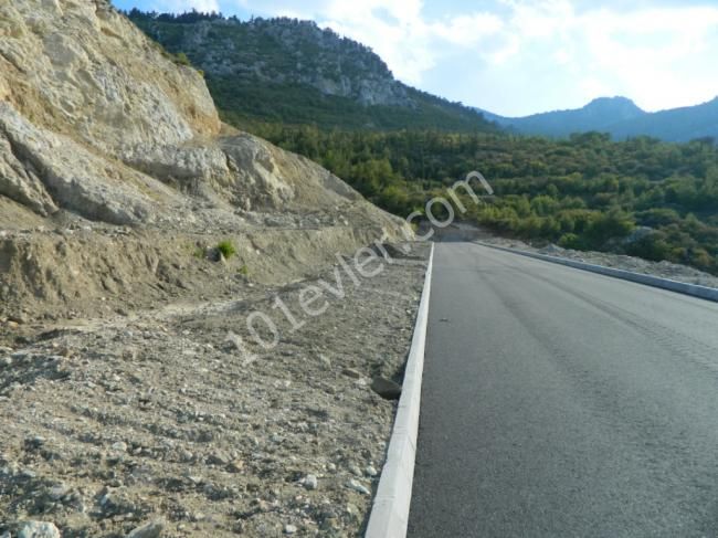 orijinal turkish  title deed forsale in catalkoy in northcyprus