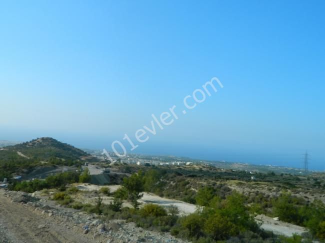 orijinal turkish  title deed forsale in catalkoy in northcyprus