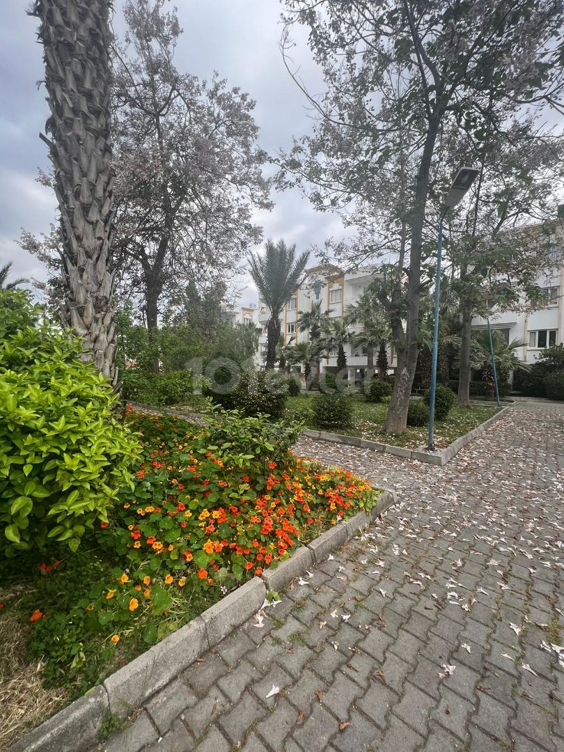 3+1 Opportunity Flat in the Center of Kyrenia