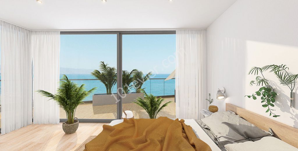 Beachfront apartments with amazing sunset views! 