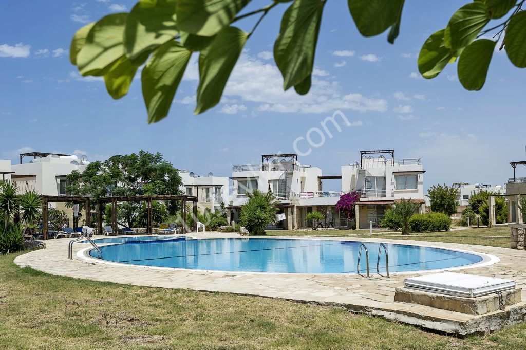 Özel Çatı Teraslı Penthouse Tatil Daire, Esentepe, Girne