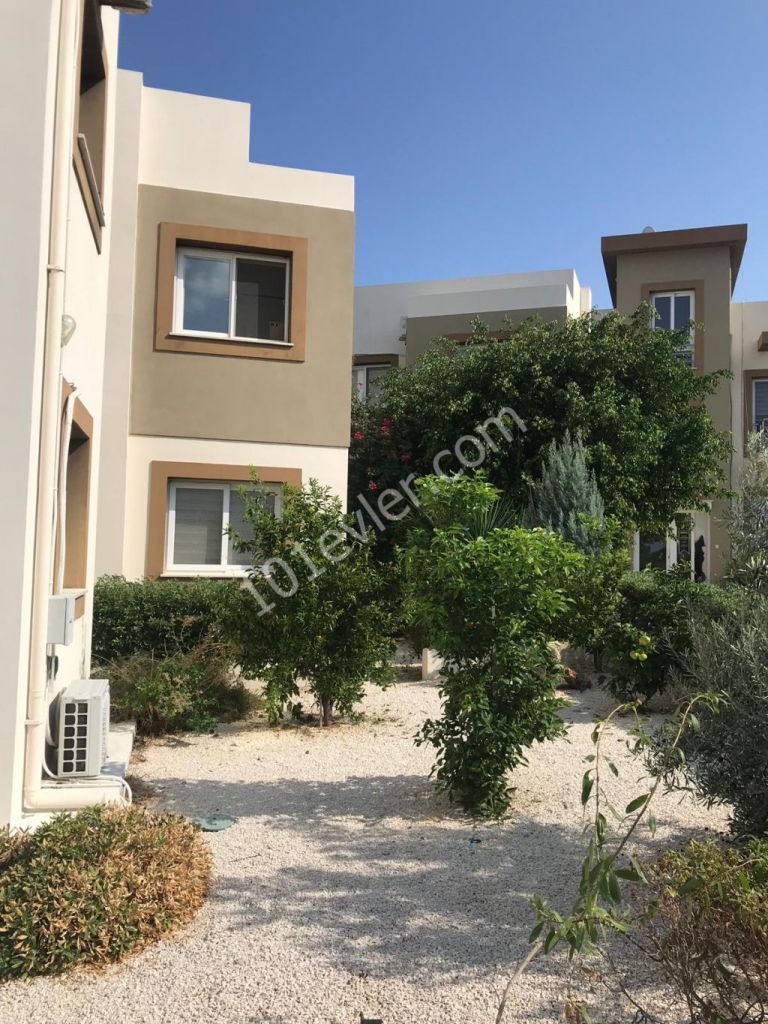 GİRNE ALSANCAK ESCAPE HOMEDA 1+1 KİRALIK DAİRE 