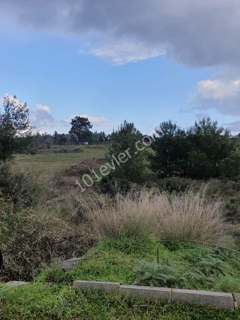 Martyr boy land with mountain and sea views for sale in Çatalköy. Along with the villa plans drawn on 240 M2. Price- 65.000 stg Contact - 05338422526 Munich Karaosmanoglu ** 