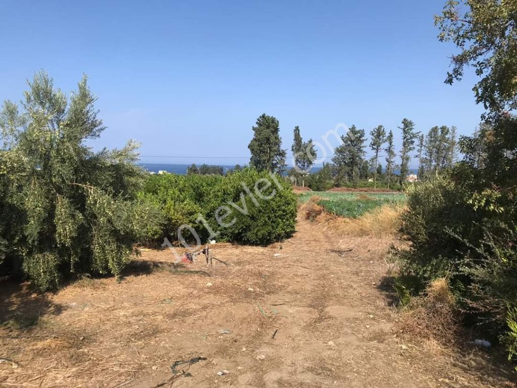 Residential Zoned Plot For Sale in Lefke, Lefke