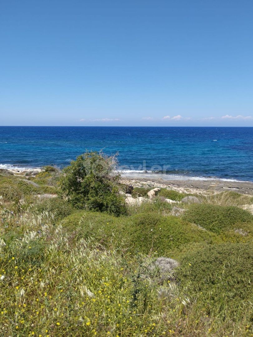 Wir stellen Ihnen den Inbegriff von Luxusleben vor – eine komplett möblierte, atemberaubende Strandvilla mit 5+1 Schlafzimmern, die Ihnen den Atem rauben wird.