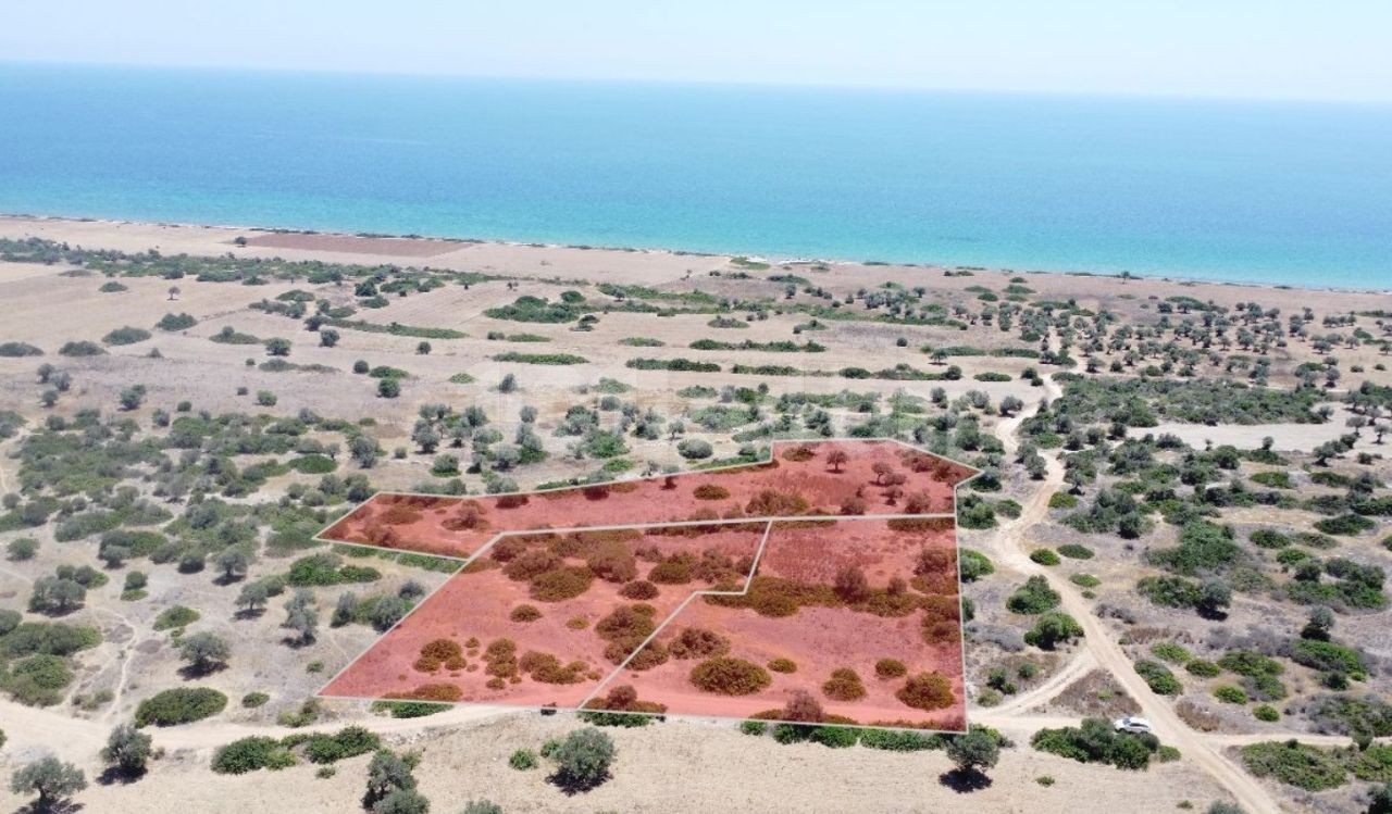 8 decares of 1 evlek land for SALE in İskele Derince area, only 400 meters from the sea