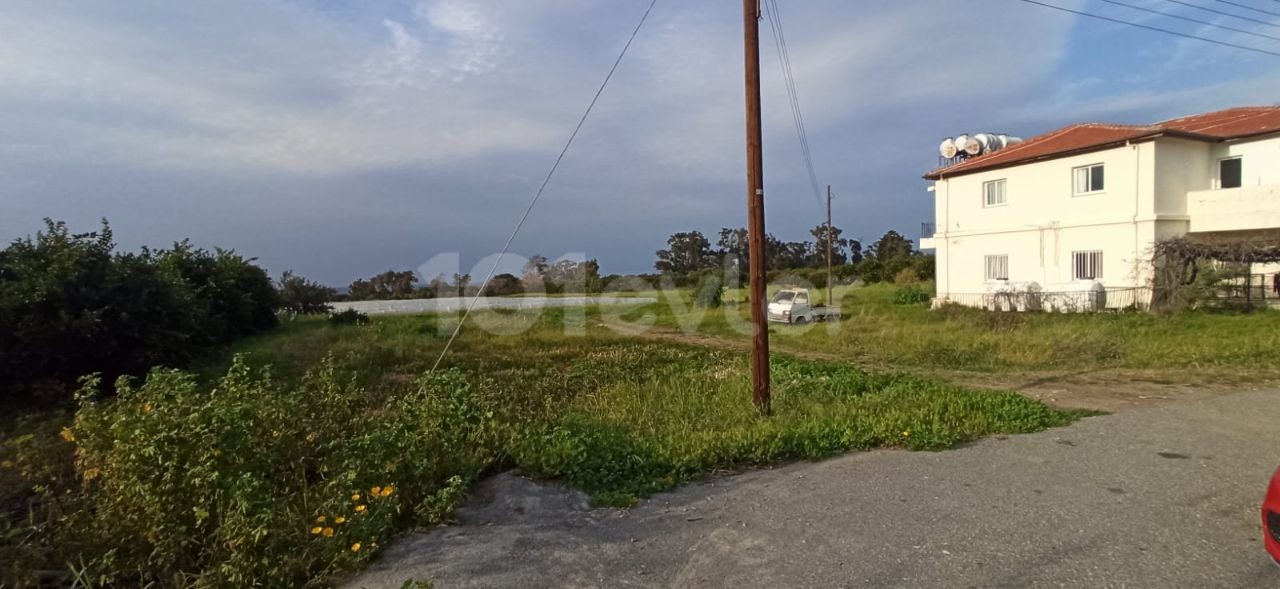 Peaceful Land Located in Yeşilyurt