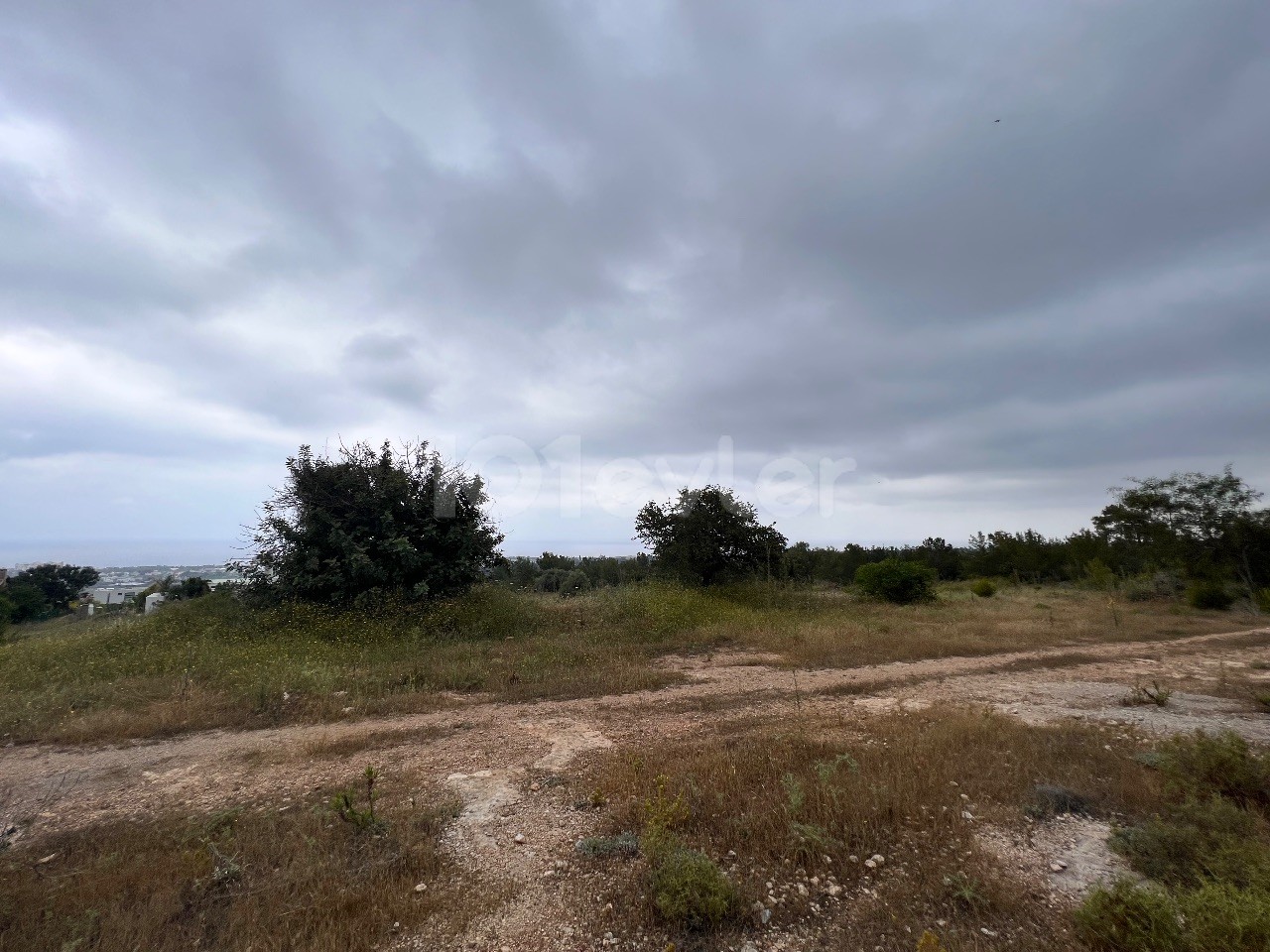 5800m² land for sale in Bellepais, Girne!