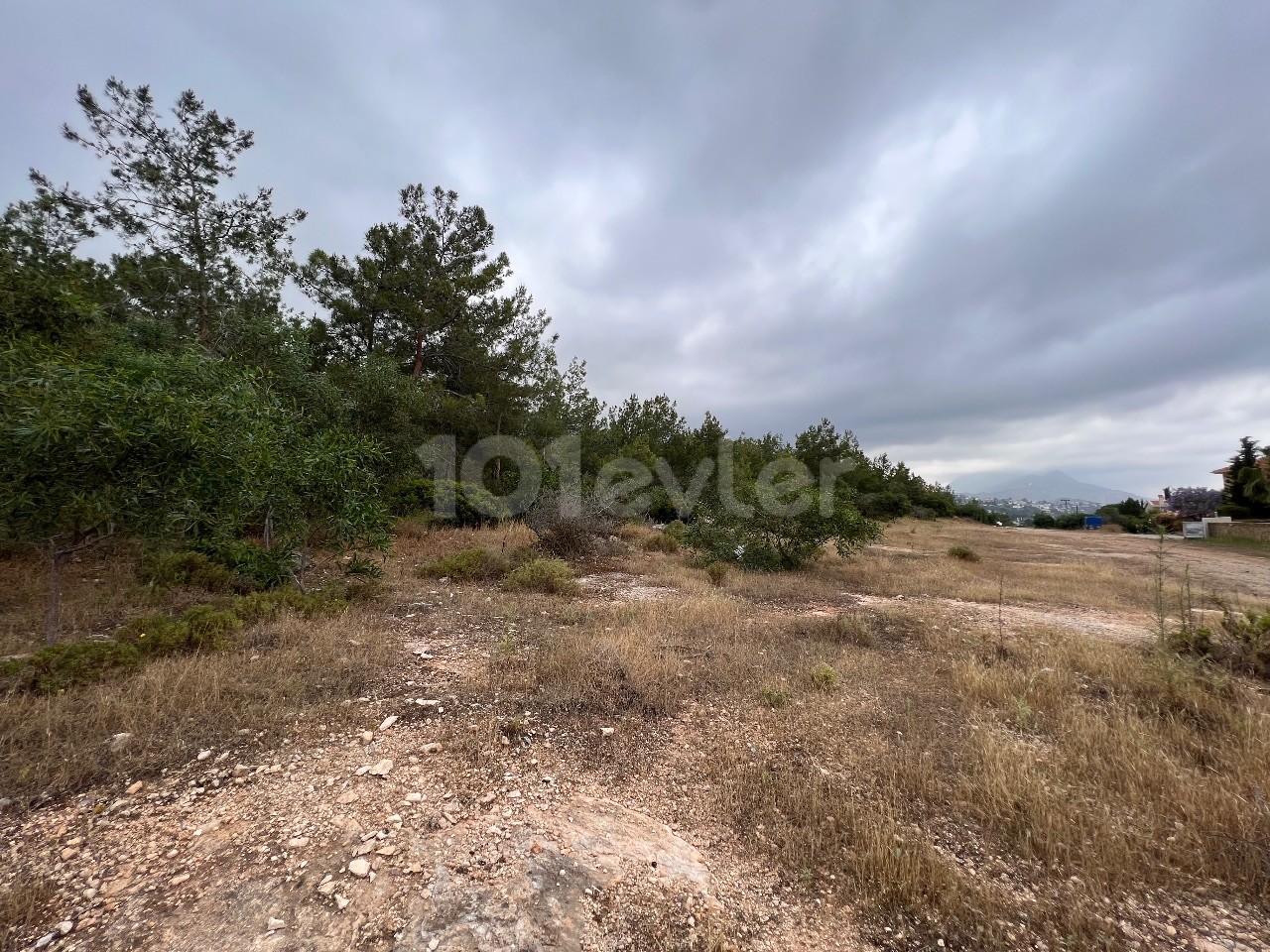 5800m² land for sale in Bellepais, Girne!