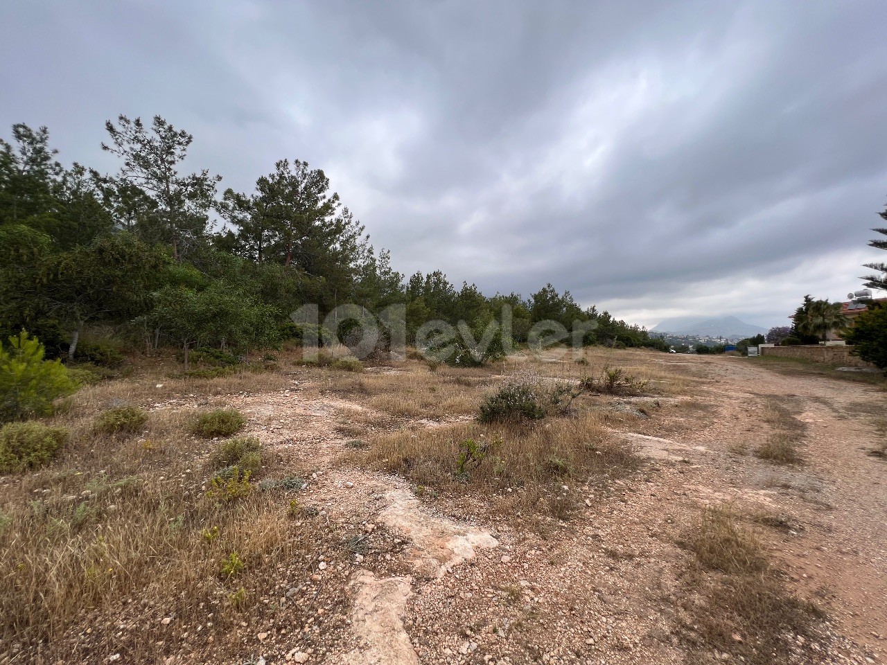 5800m² land for sale in Bellepais, Girne!