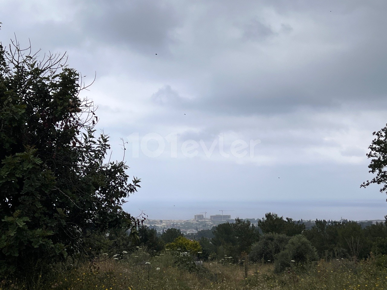 5800m² land for sale in Bellepais, Girne!