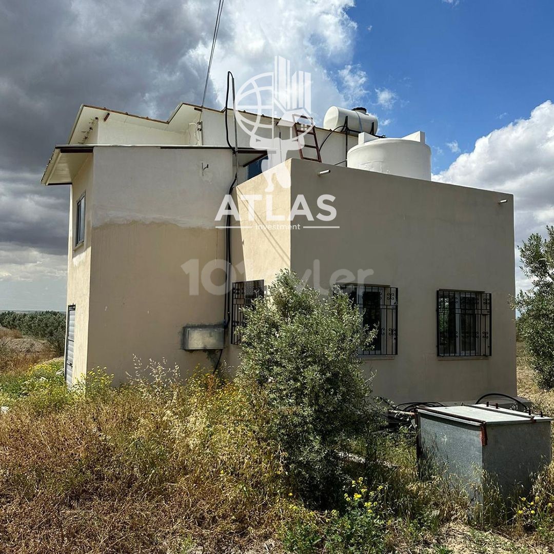 OLIVE FLOOR AND HOUSE FOR SALE IN GEÇİTKALE (OPPORTUNITY FIELD)