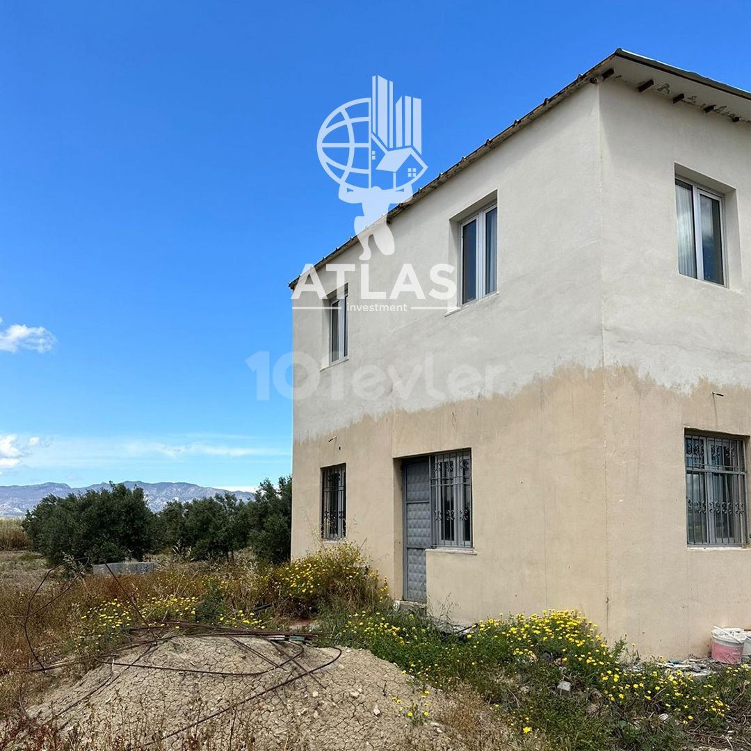 OLIVE FLOOR AND HOUSE FOR SALE IN GEÇİTKALE (OPPORTUNITY FIELD)