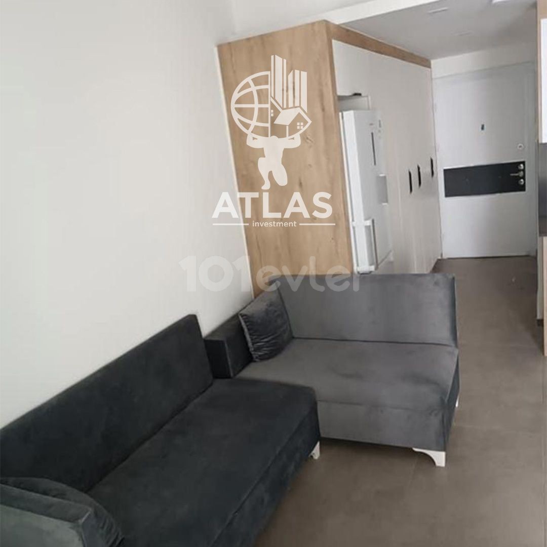 1+0 FURNISHED FLAT FOR RENT IN TERRACE PARK RESIDENCE