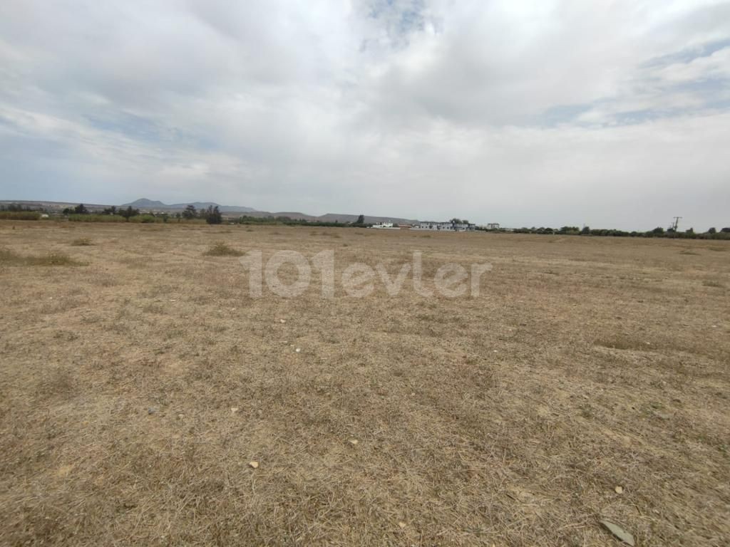 14 Acres of Land with Mountain View in Güzelyurt