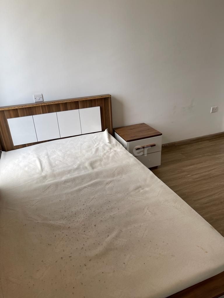 Dereboyuna Yakın Kiralık Daire